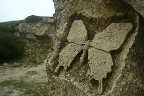Butterfly carving at Tour Quarry